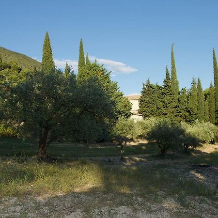 Mas Provencal La Serallere Au Coeur Des Oliviers Venterol  Exterior photo