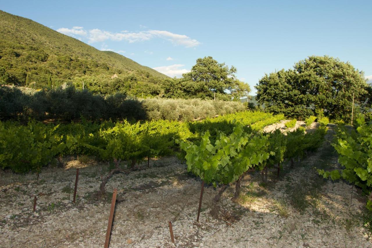 Mas Provencal La Serallere Au Coeur Des Oliviers Venterol  Exterior photo