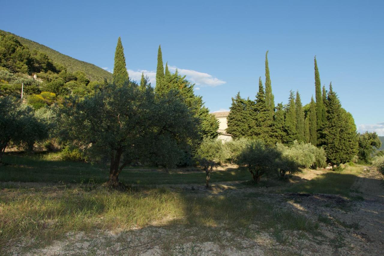 Mas Provencal La Serallere Au Coeur Des Oliviers Venterol  Exterior photo